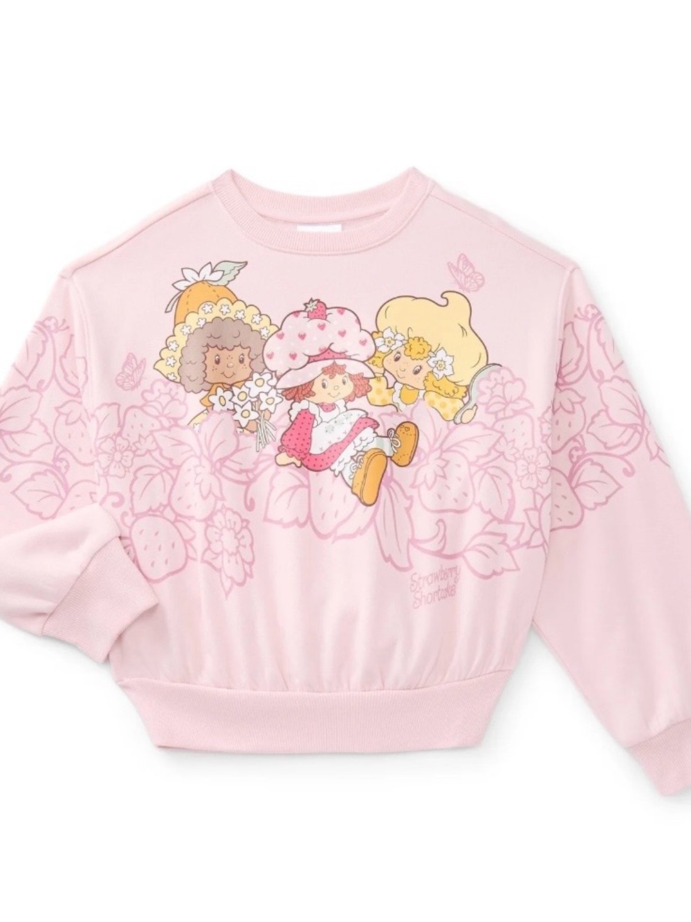 NWT Strawberry Shortcake Kids Sweatshirt Size 4/5 4 5 XS Pink Cozy Girly